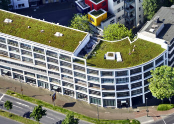 Biodiversität in einer Stadt