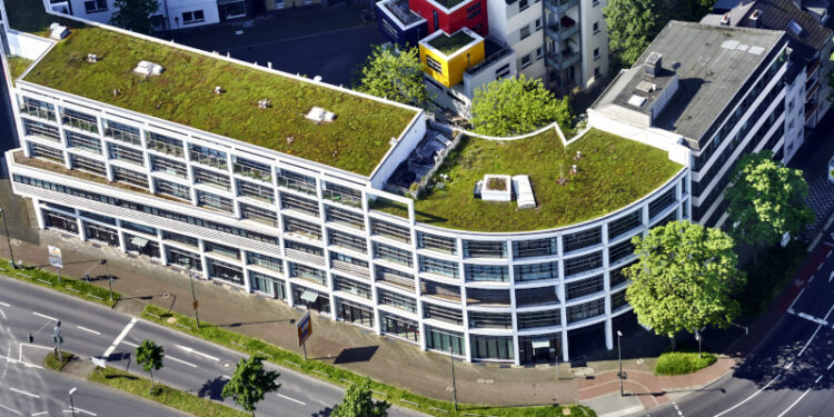 Biodiversität in einer Stadt