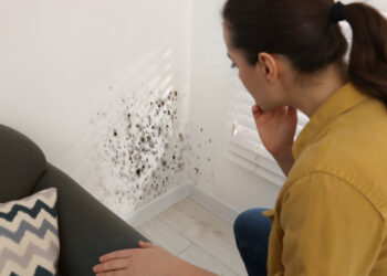 Schimmel in Wohnung
