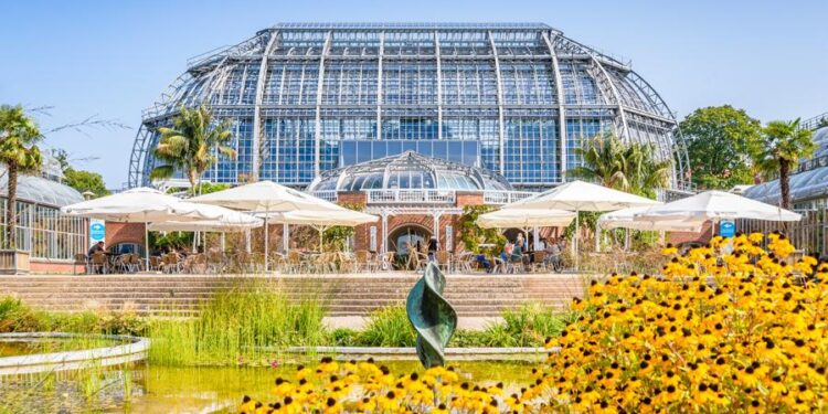 Heilpflanzen im Botanischer Garten Berlin