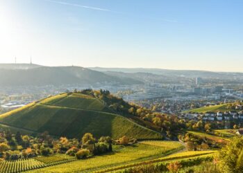 Ordnungsamt München » Regelkenntnis für den Bürger