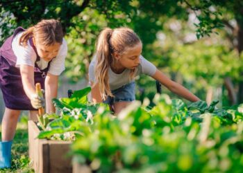 Kinder im Gemüsegarten