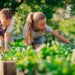 Kinder im Gemüsegarten