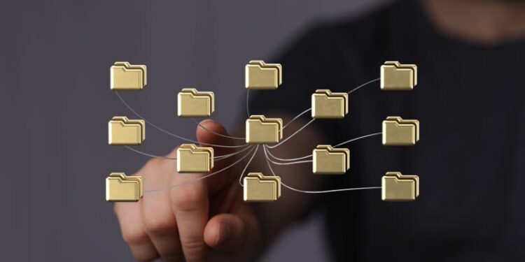 effizientes Datenmanagement